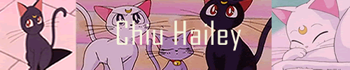 Hailey Chiu